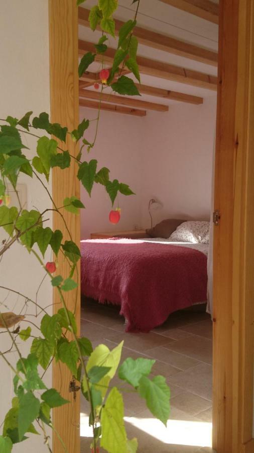 Casa Turreta Lägenhet Ansó Exteriör bild
