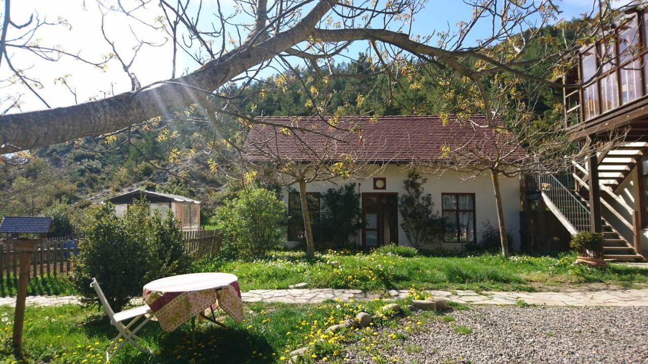 Casa Turreta Lägenhet Ansó Exteriör bild
